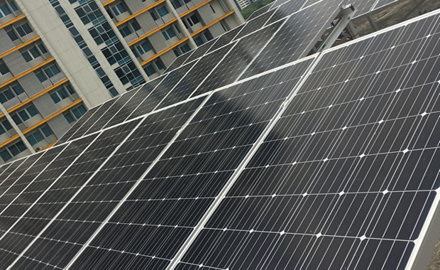 LONGi Solar Panel Price Per Watt in Pakistan